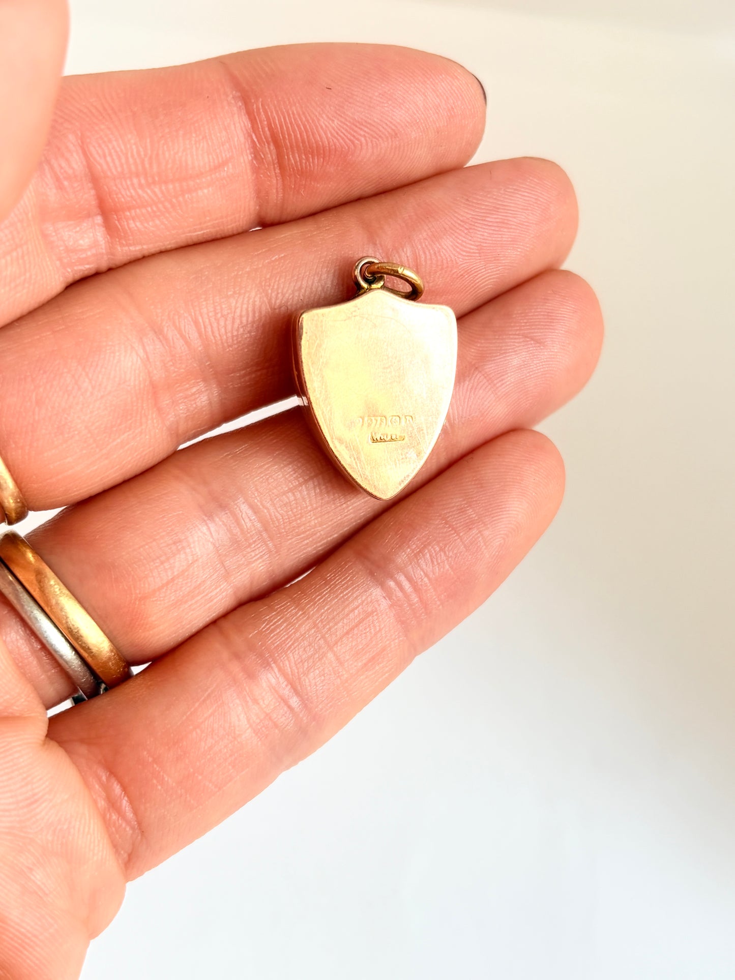 Rare, Victorian,  9ct Gold Shield Locket with Ivy and a equestrian decor, 1901