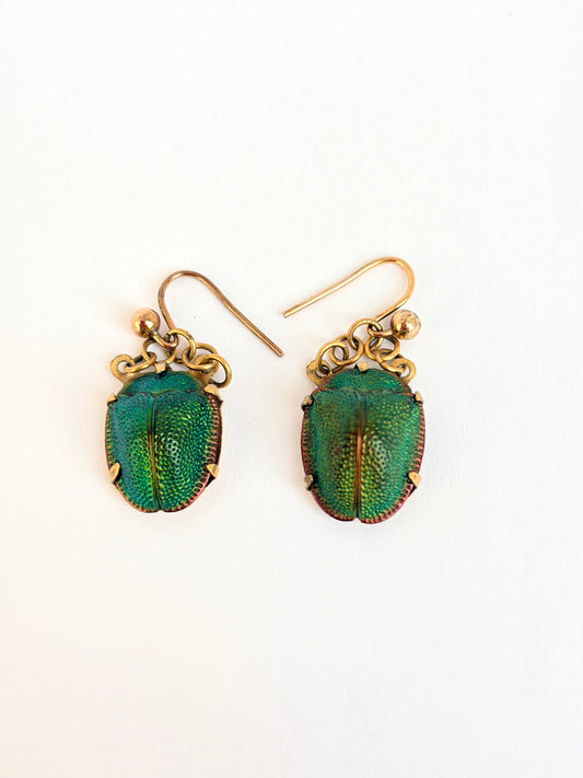 Victorian, 9ct Gold Scarab Beetle Earrings