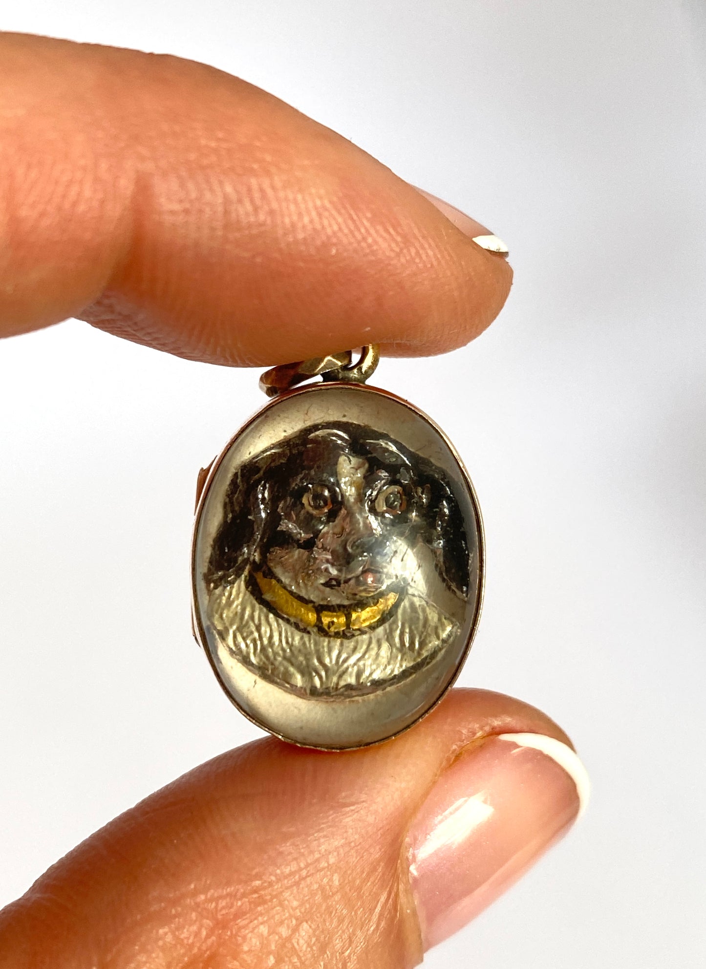 Rare, 9ct Gold Essex Crystal Pendant/Locket featuring a King Charles Spaniel Dog