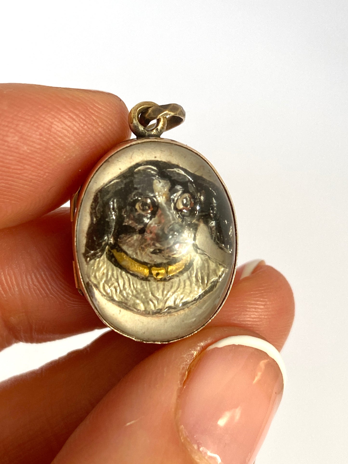 Rare, 9ct Gold Essex Crystal Pendant/Locket featuring a King Charles Spaniel Dog