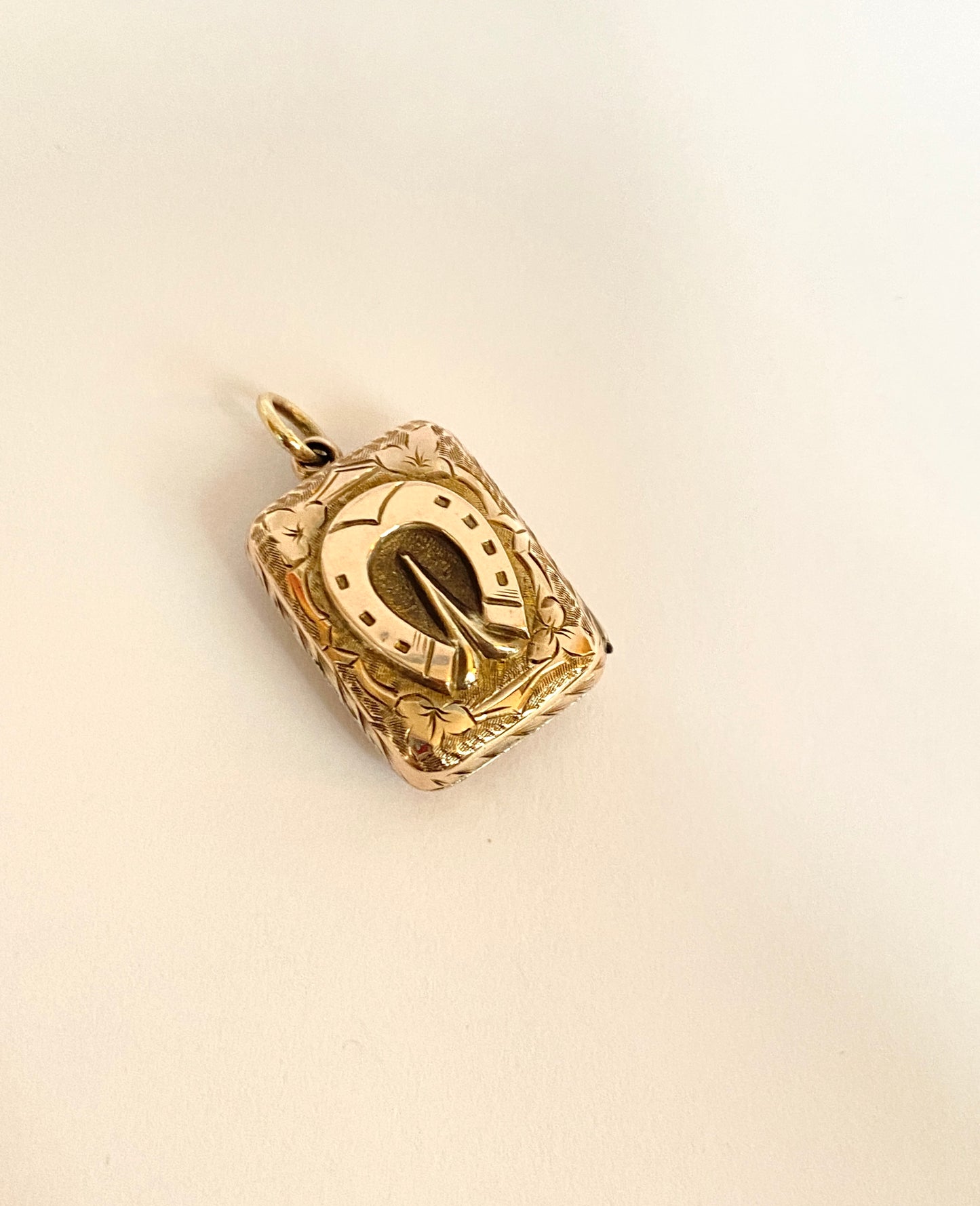 Victorian 9ct Gold (F&B) Double sided Horse Shoe Rectangle Locket / Pendant