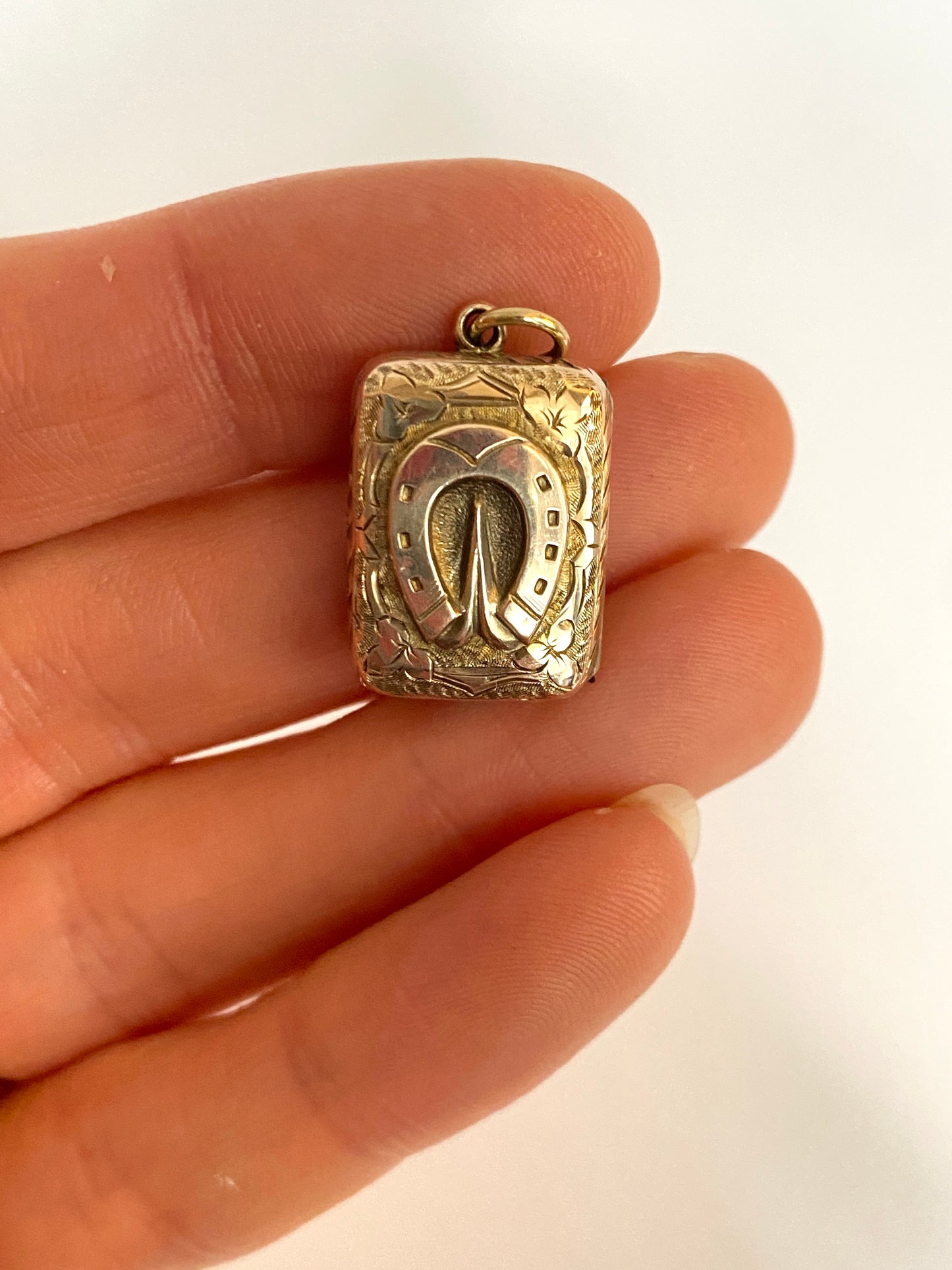 Victorian 9ct Gold (F&B) Double sided Horse Shoe Rectangle Locket / Pendant